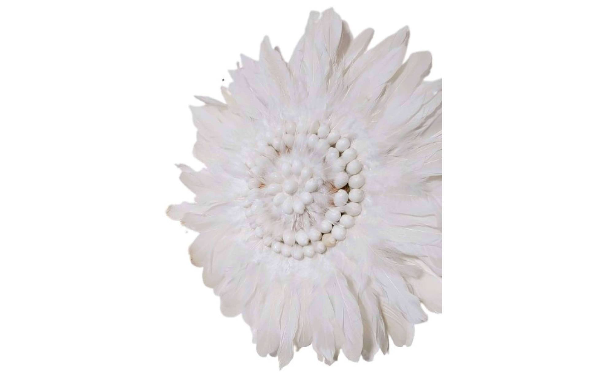 Bali Jewels ofrece un catálogo amplio de adornos de pluma para decorar la pared