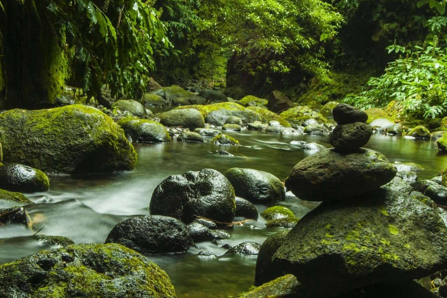 Azores con vuelos directos, programas de varias islas y todo incluido