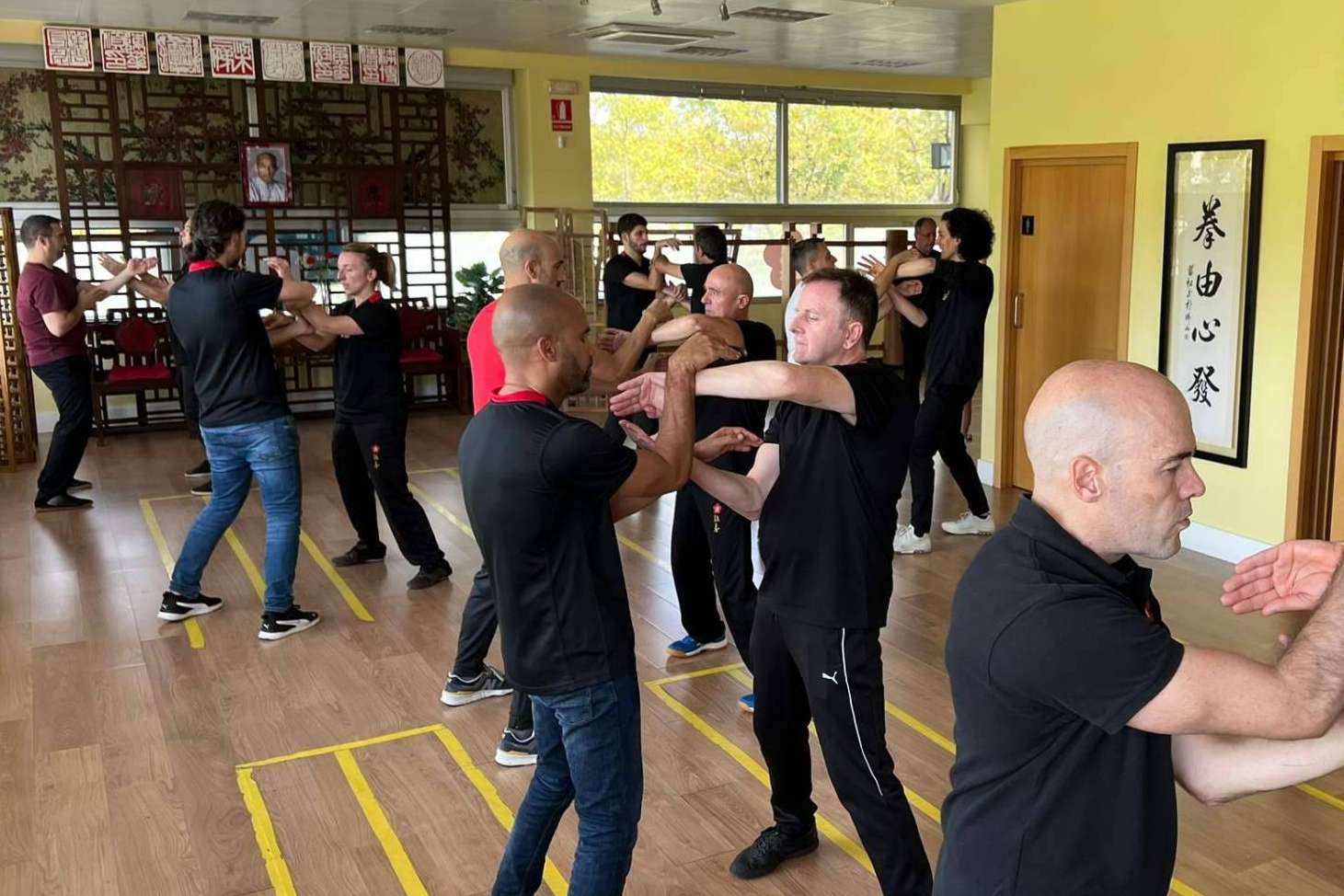 Los beneficios del Kung Fu, equilibrio físico y mental en cada movimiento